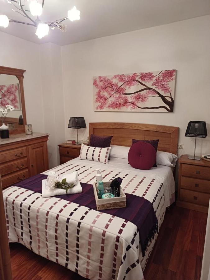 Apartamento Penedo, Camino Portugus-Con Plaza De Garaje Gratis Santiago de Compostela Exterior foto